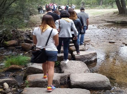 Actividades Supervivencia para empresas