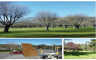 Finca El Escorial para celebrar eventos de empresa